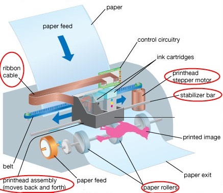 How an Inkjet Printer Works - The Naked Truth! | PrintiePie